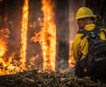 Ein Feuerwehrmann versucht in einem stark brennenden Wald zu löschen.