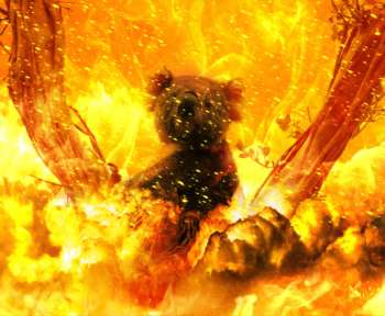 Ein Koala sitzt in einem brennenden Baum. Eine Fotomontage.